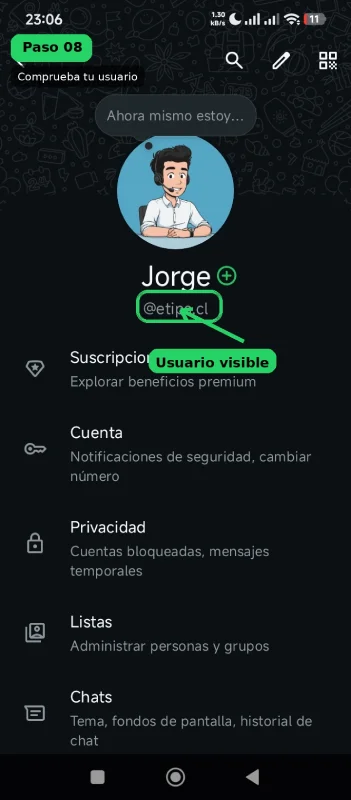 スクリーンショット：WhatsAppのプロフィール下に表示されるユーザーネーム